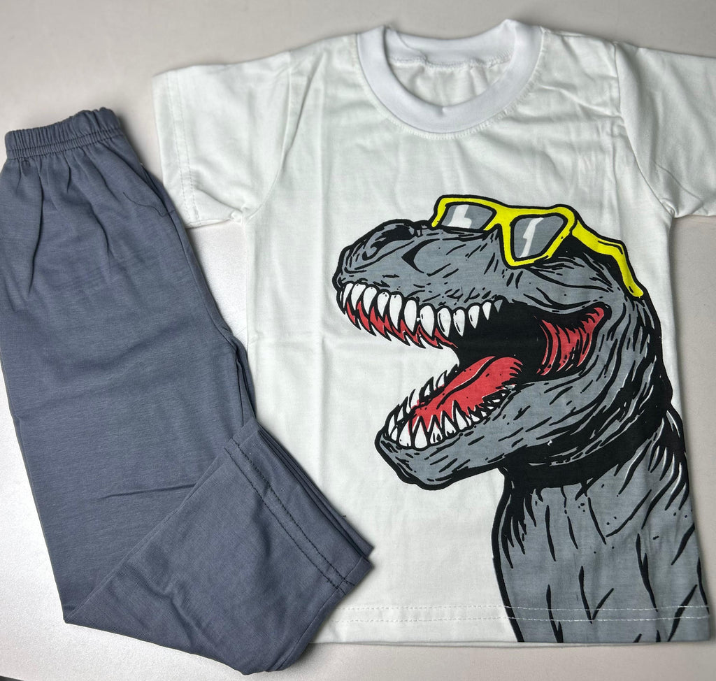 Kids T-Rex Print– Cool Casual Outfit for Boys